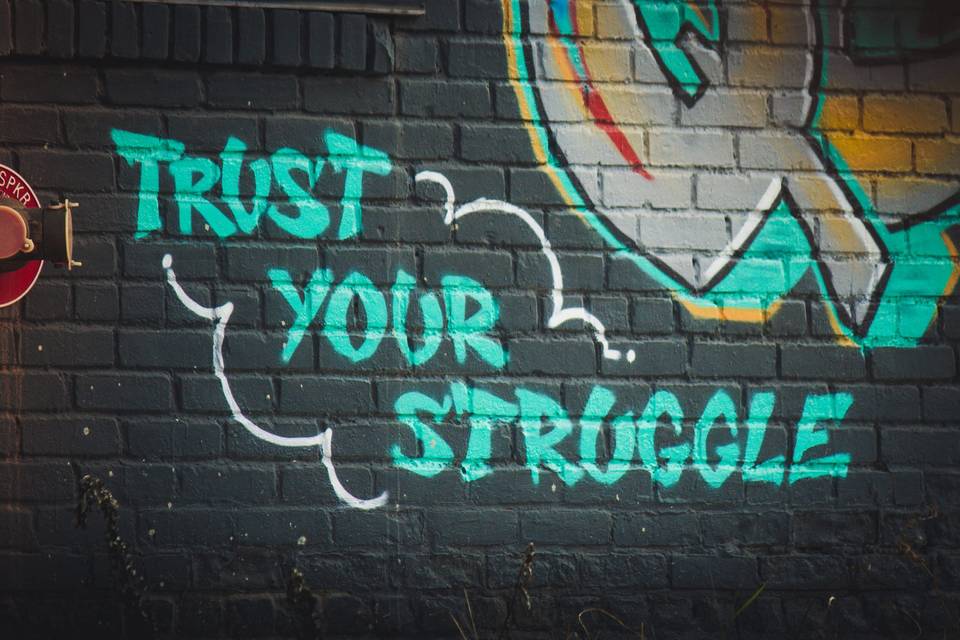 Cover Image for The struggle for perfection