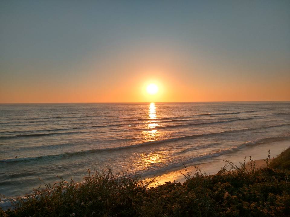 Cover Image for I love the beach