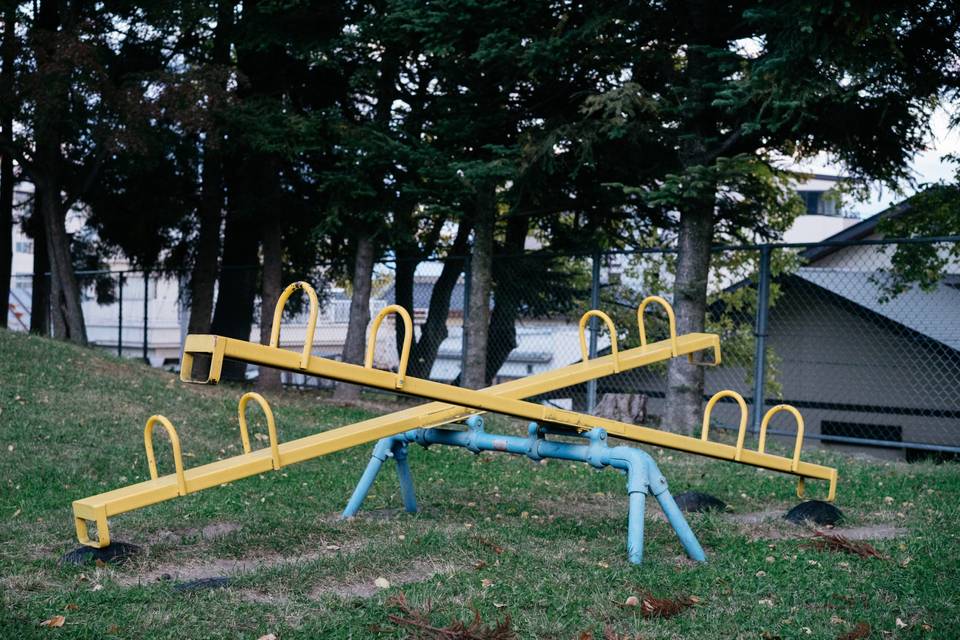 Cover Image for Our emotional seesaw