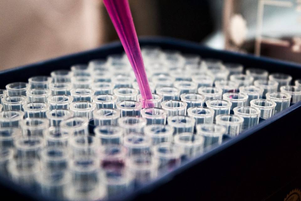 Multiple test tubes, one being filled with pinkish fluid.