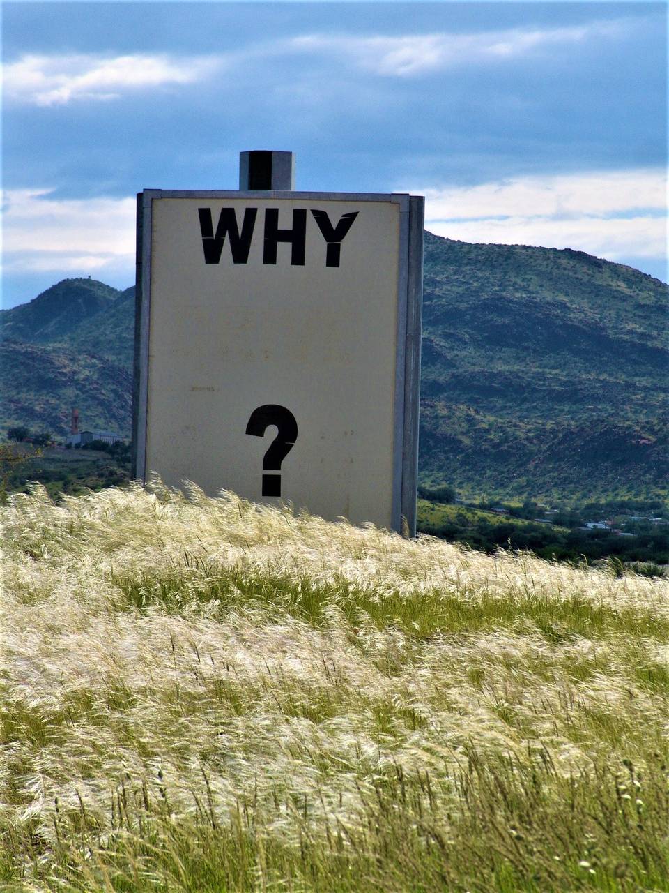 Cover Image for The ultimate why?